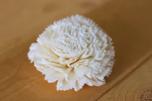 2" Sola Carnations ( Set of 12 )