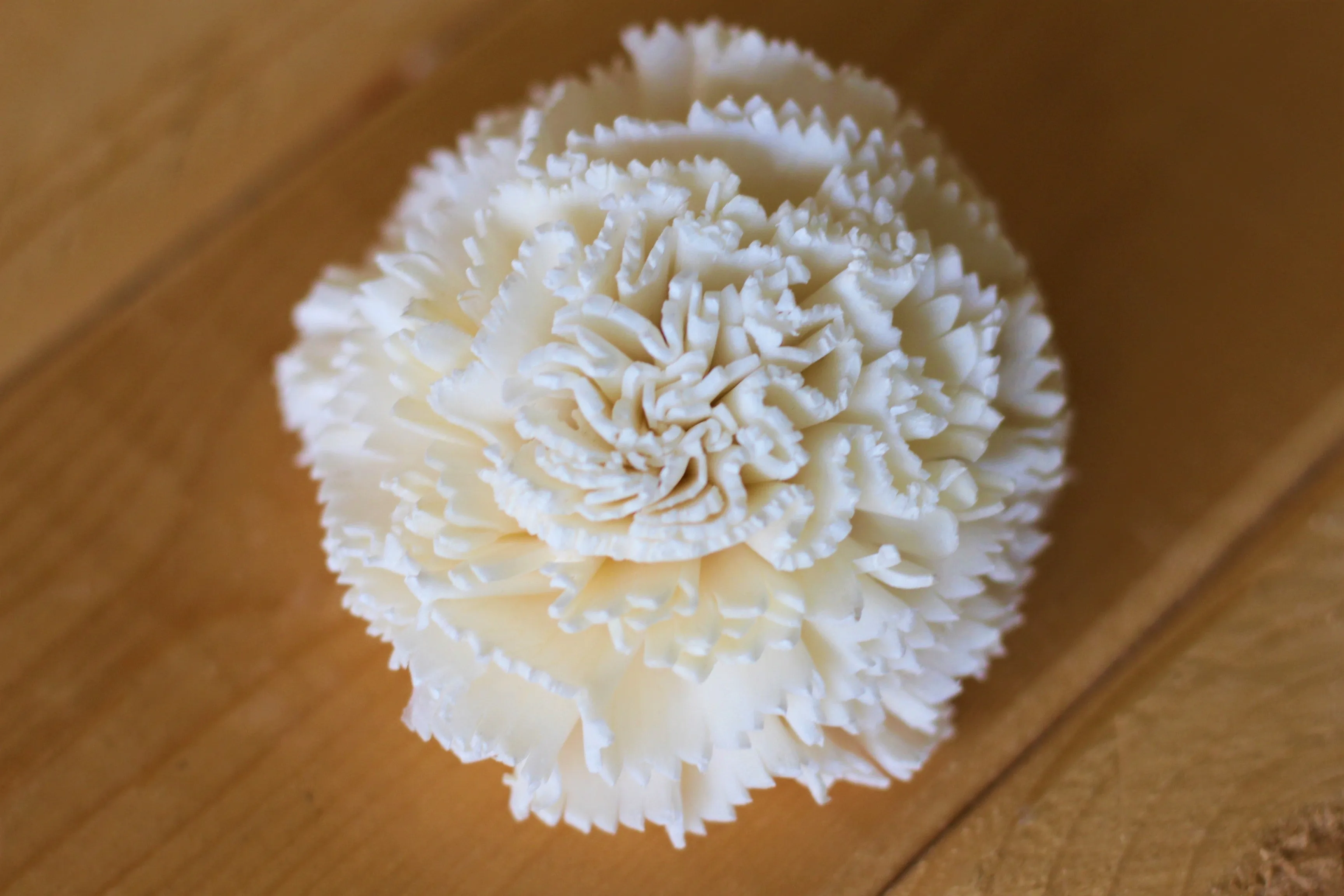 2" Sola Carnations ( Set of 12 )