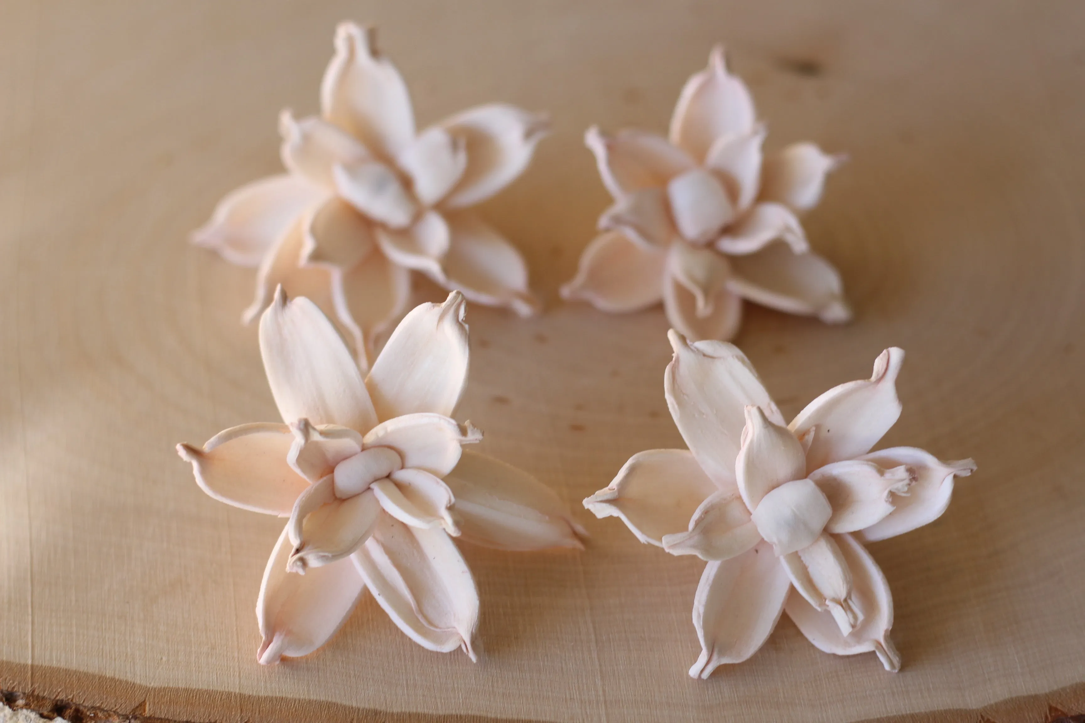 Blush Pink Sola Wood Gardenia 2" ( Set of 12 )