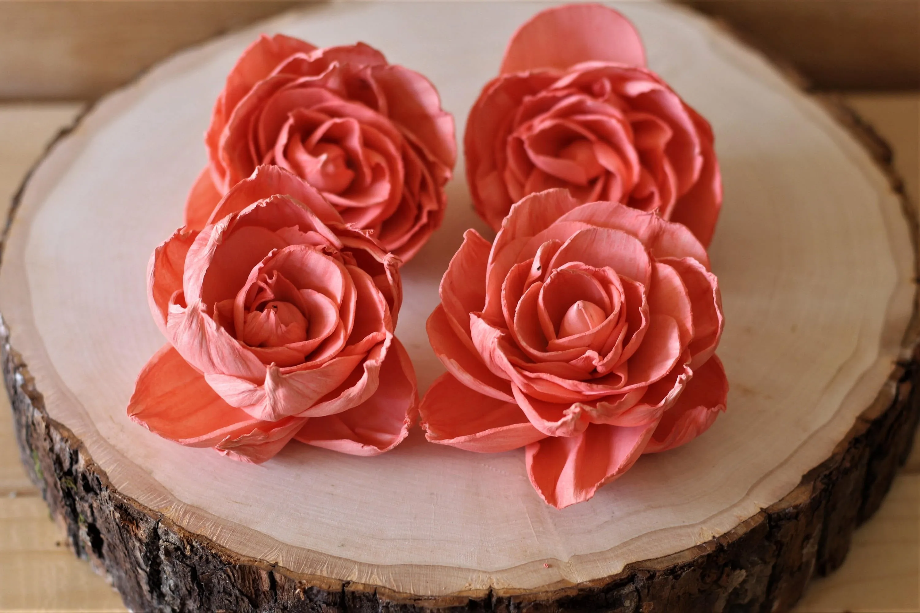 Coral Sola Wood Peonies ( Set of 12 )