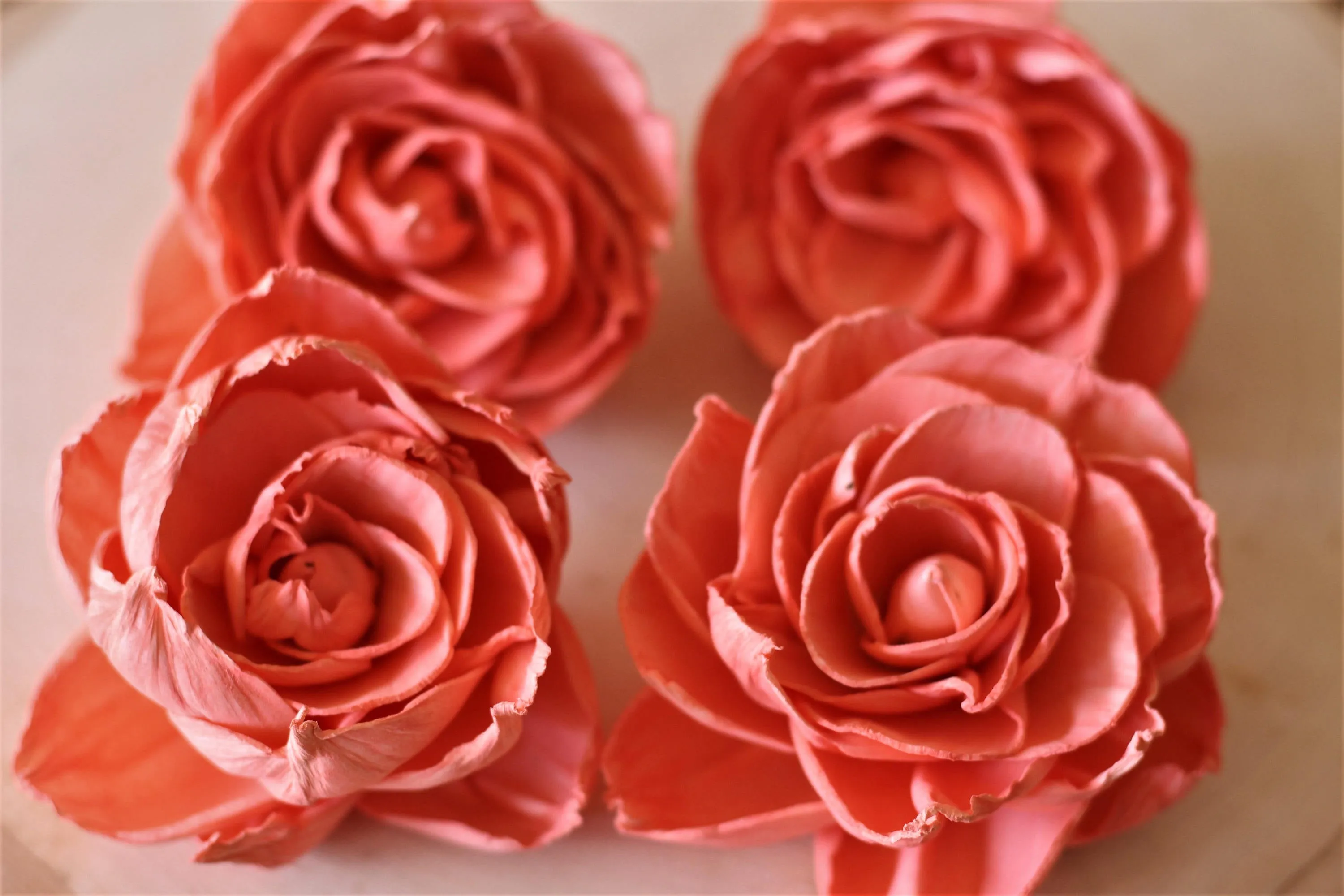 Coral Sola Wood Peonies ( Set of 12 )