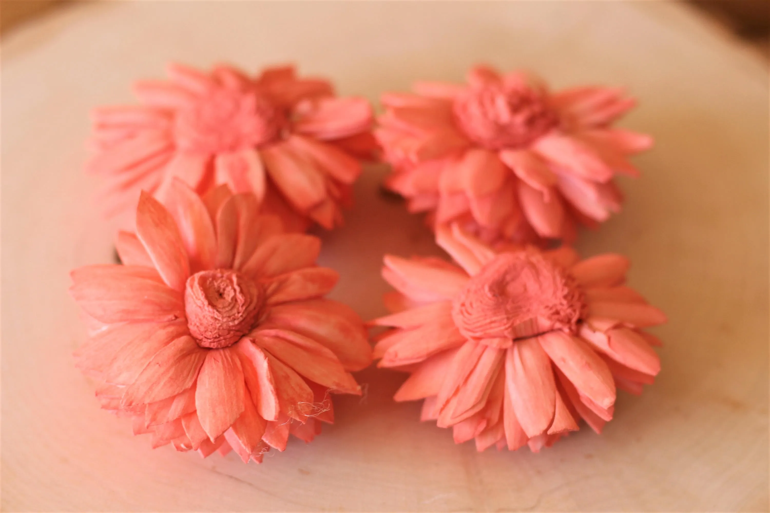 Coral Sola Wood Zinnia Flowers ( Set of 12 )