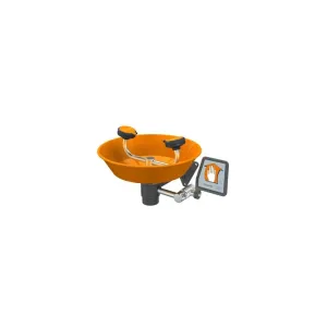 Guardian G1750P Eye/Face Wash, Wall Mounted, Plastic Bowl