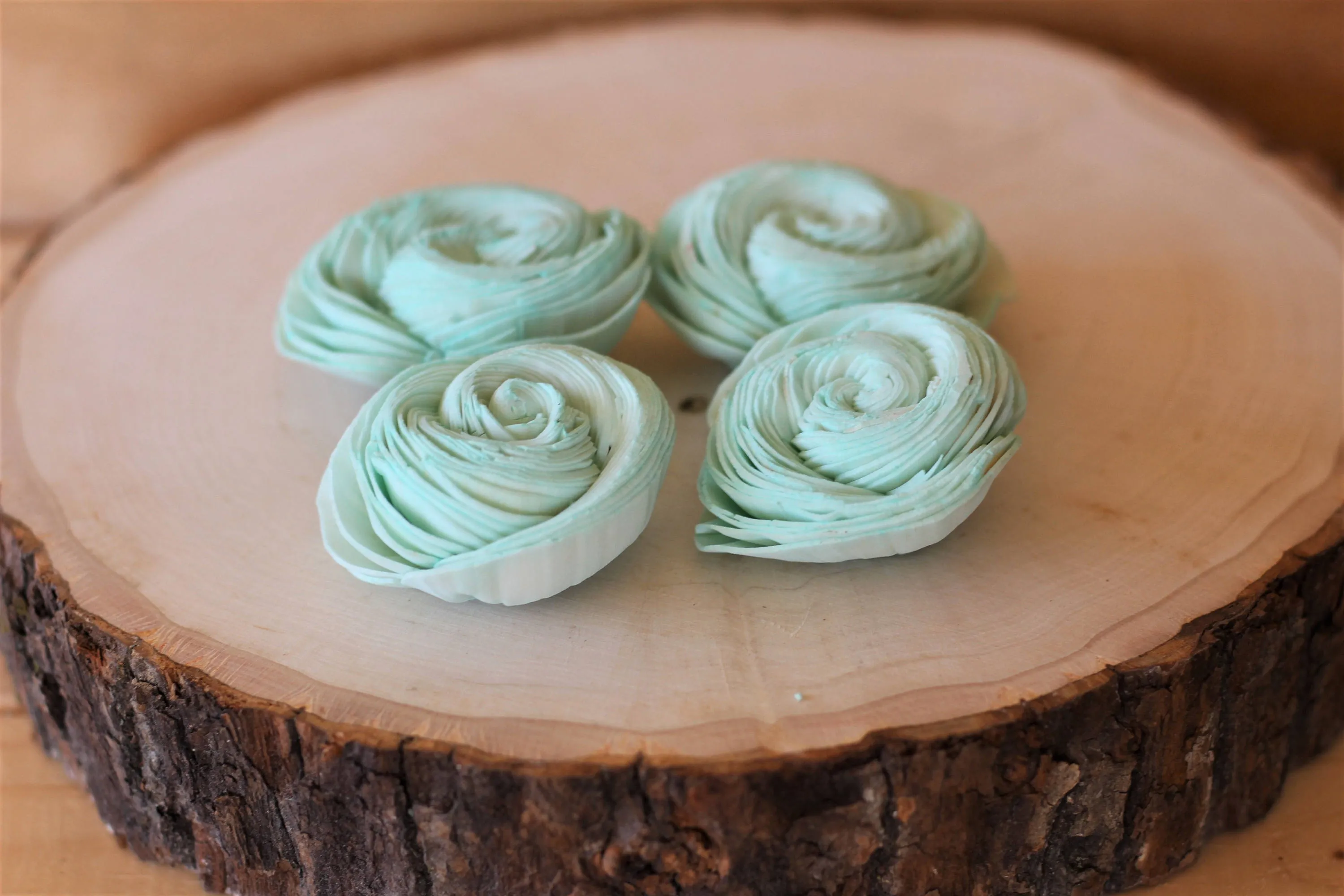 Mint Sola Wood Shell Flowers ( Set of 12 )