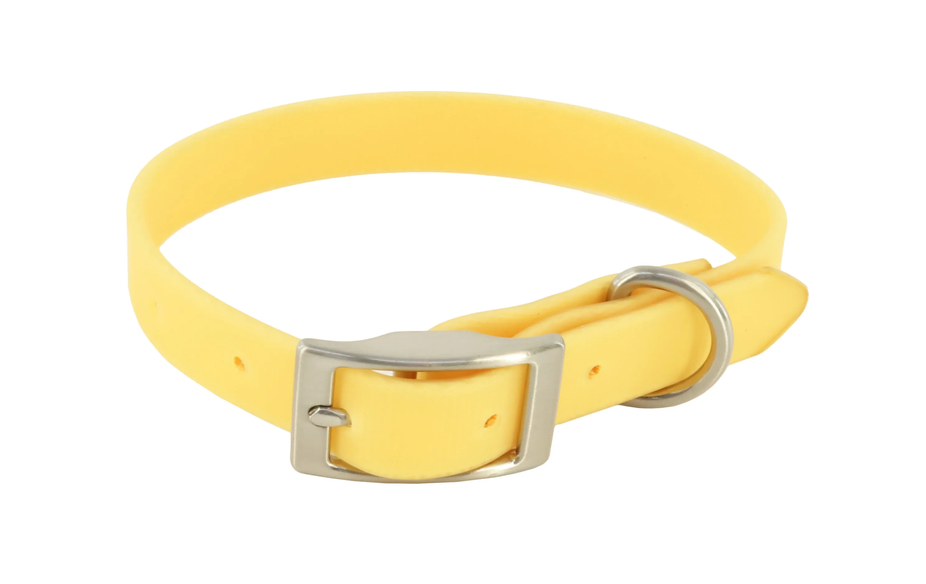 MuttNation Fueled by Miranda Lambert Waterproof Dog Collar Goldenrod 3/4 X 13-18