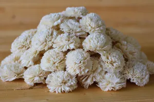 Wholesale/Bulk Sola Carnations 2" ( 25 count )